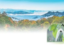 在大相岭深处（逐梦）