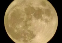 勿论天阴晴、人离合，且赏今夜中秋月桂华。