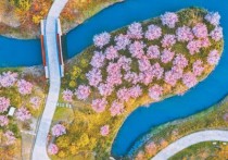 金山的魅力（我与一座城）