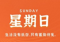 2月19日，星期日，小红读世界！