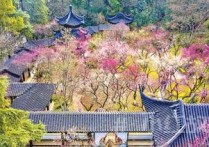 春意渐浓