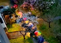 生活从来不缺美，缺的是发现美的眼睛。
